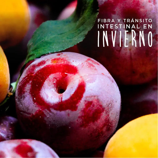 Fibra-y-Tránsito-Intestinal-en-Invierno Nativ For Life
