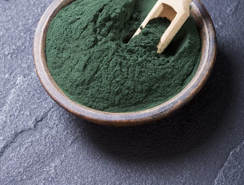 Espirulina polvo liofilizado - Nativ For Life