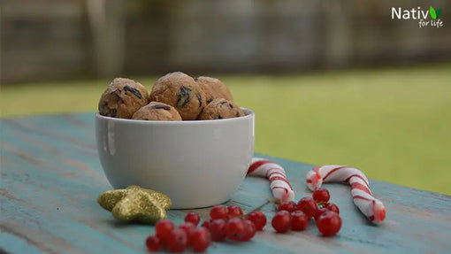 Bolitas-de-Cranberries-y-Maní-Tostado Nativ For Life