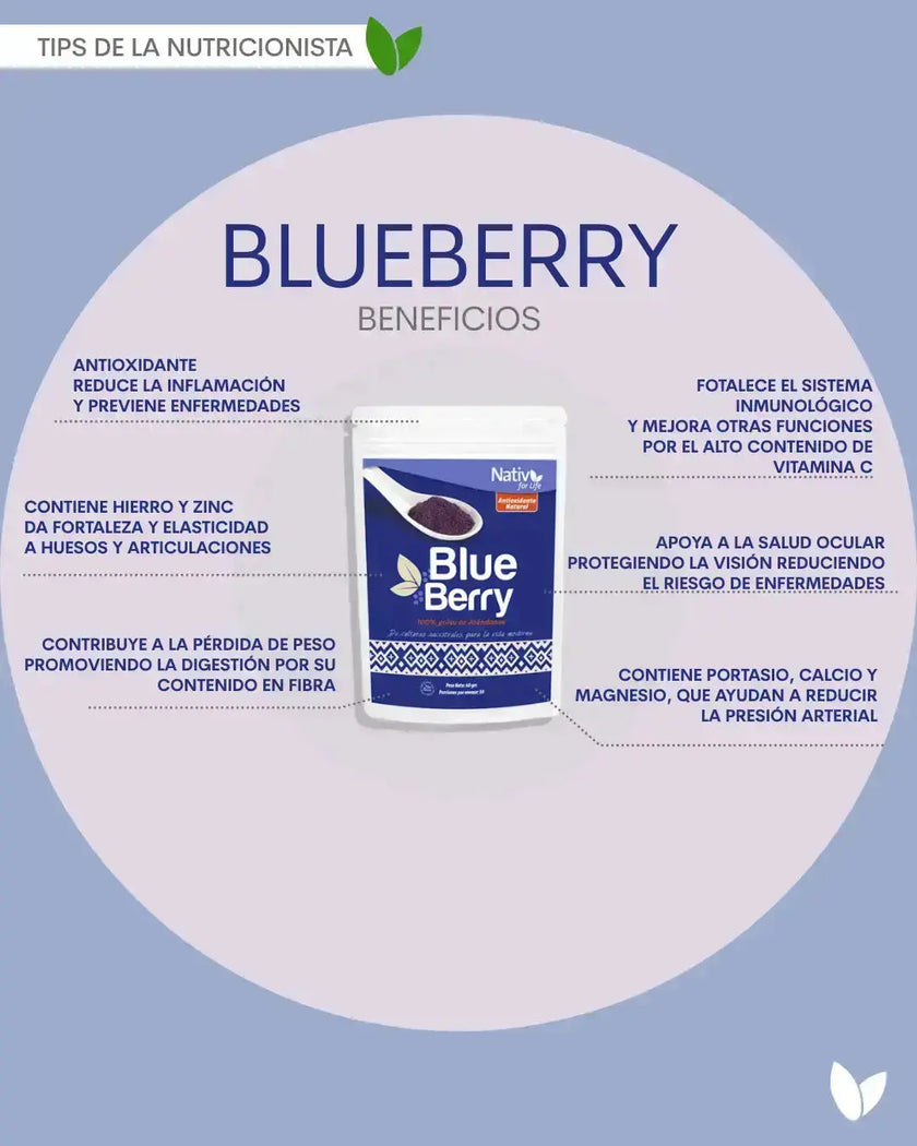 Blueberry polvo liofilizado Nativ For Life