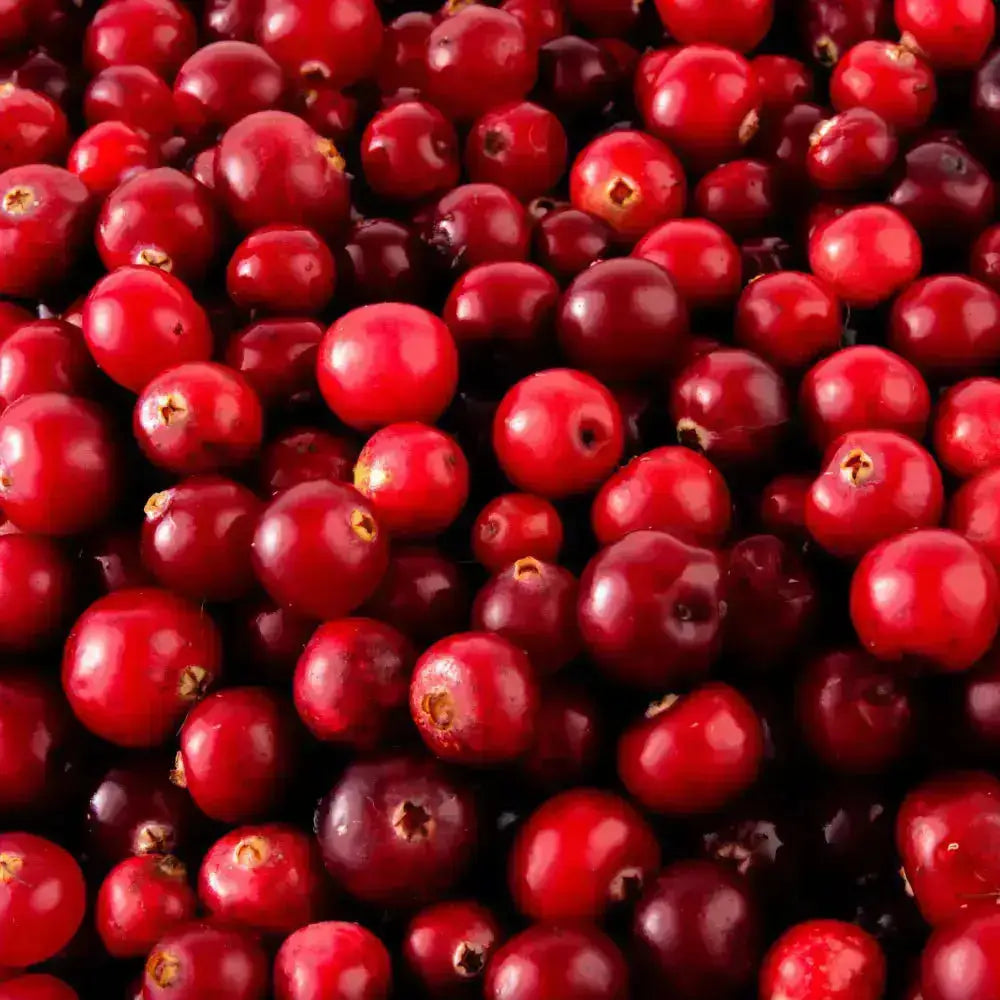 Cranberry polvo liofilizado Nativ For Life