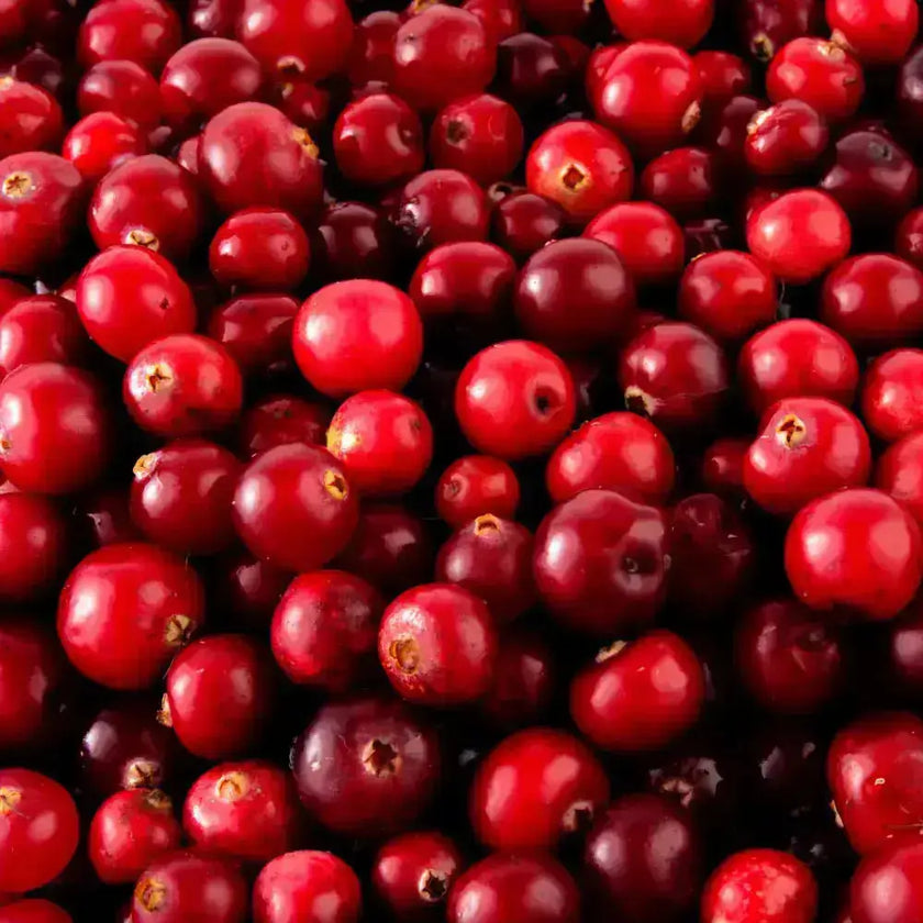 Cranberry polvo liofilizado Nativ For Life