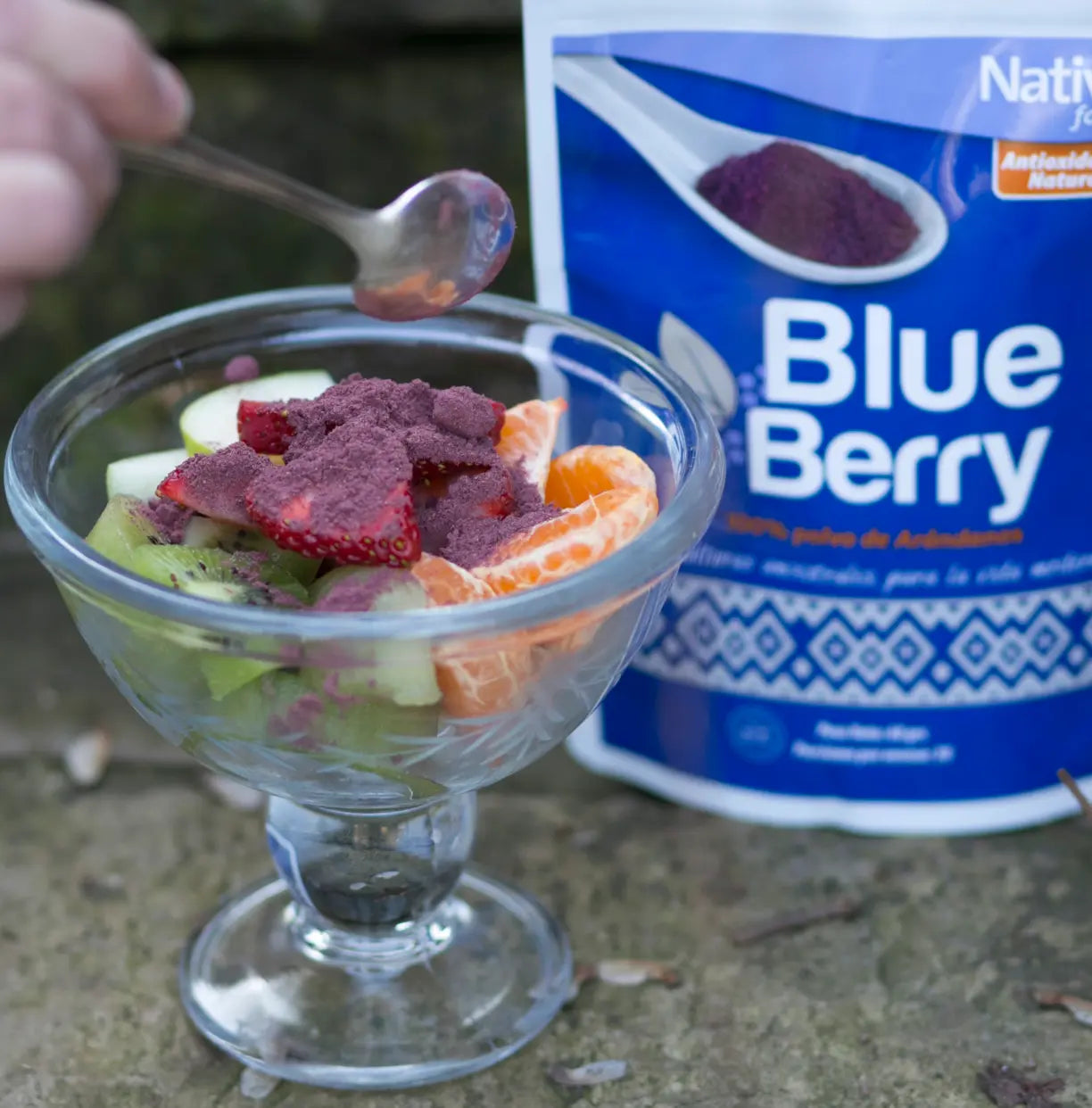 arándano, sin gluten, Arándano, sin gluten, vegano, 100% natural, antioxidante, nativ for life