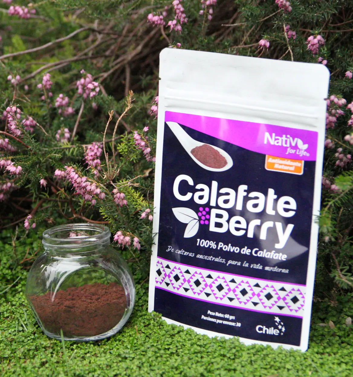 Calafate polvo liofilizado - Nativ For Life