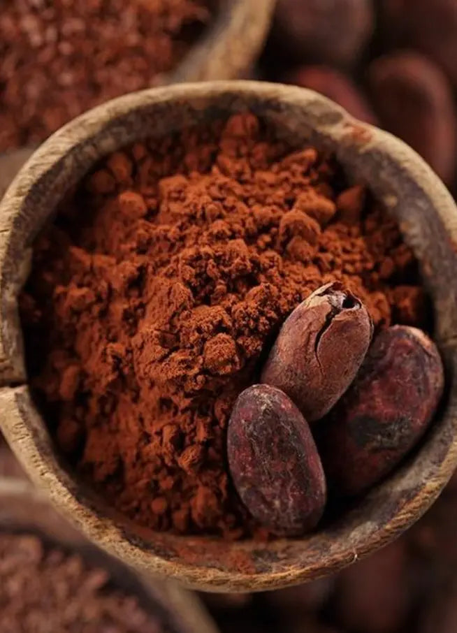 Cacao polvo liofilizado - Nativ For Life