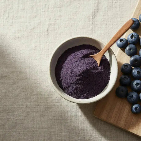 Blueberry en polvo Nativ For Life
