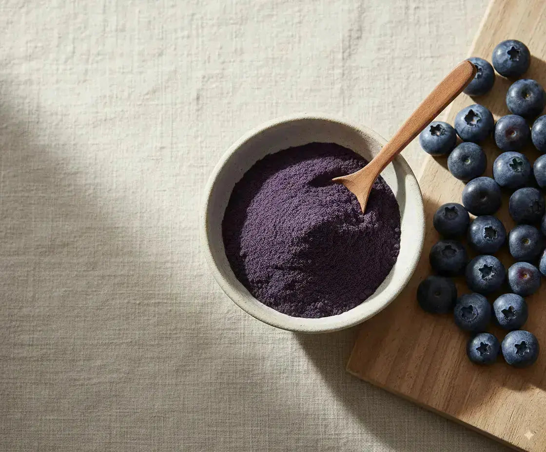 Blueberry en polvo Nativ For Life