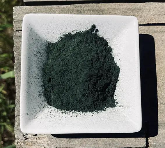 Espirulina polvo liofilizado - Nativ For Life