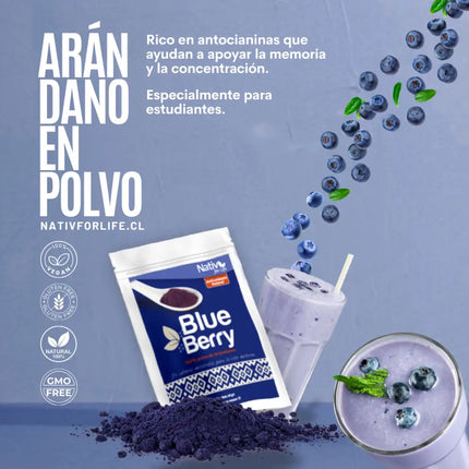 Arándanos en polvo - Doy Pack