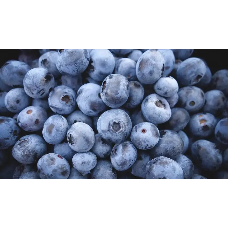 Arándanos orgánicos en polvo concentrado Nativ For Life