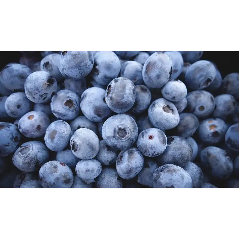 Arándanos orgánicos en polvo concentrado Nativ For Life