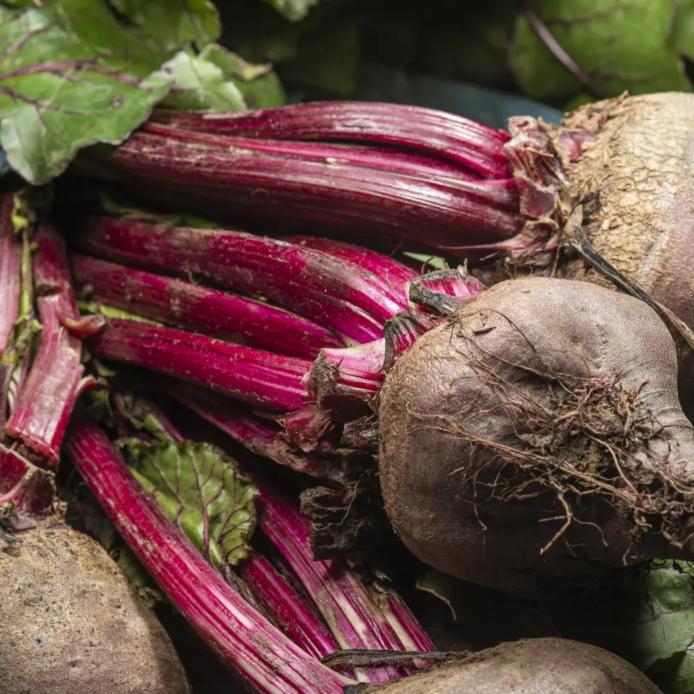 Betarraga en polvo Nativ For Life