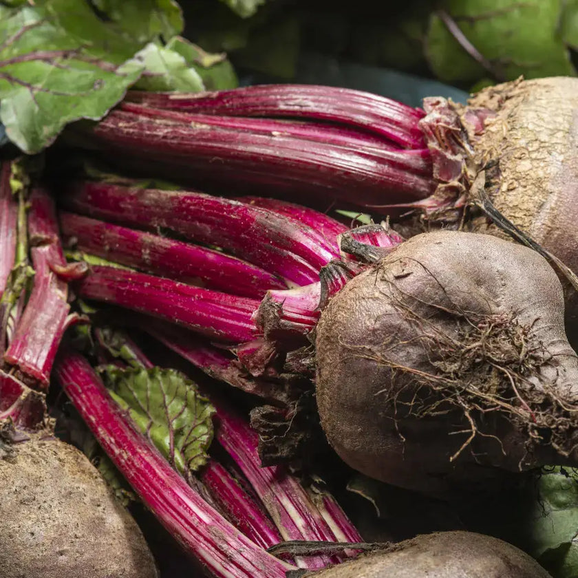 Betarraga en polvo Nativ For Life