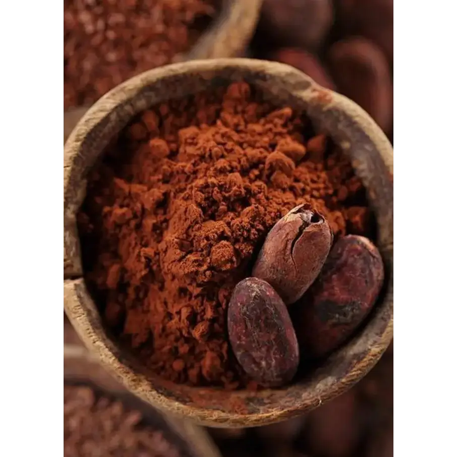 Cacao polvo liofilizado - Nativ For Life