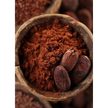 Cacao polvo liofilizado - Nativ For Life