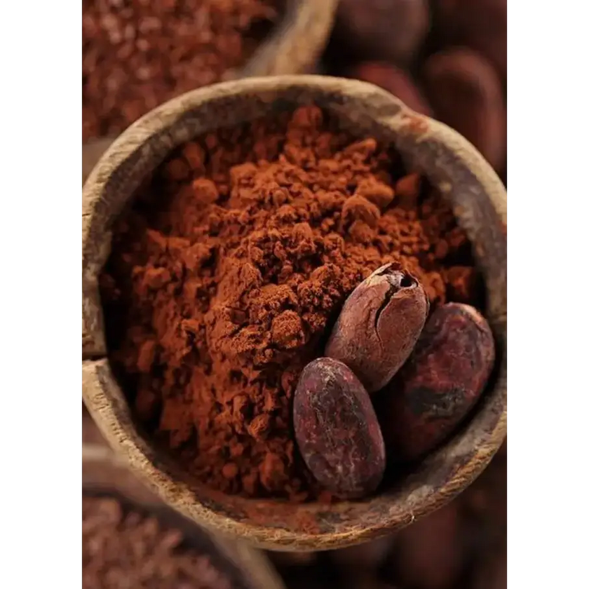 Cacao polvo liofilizado - Nativ For Life