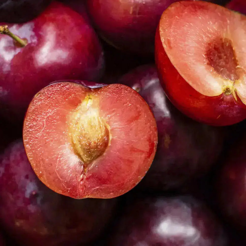 Ciruela en polvo Nativ For Life