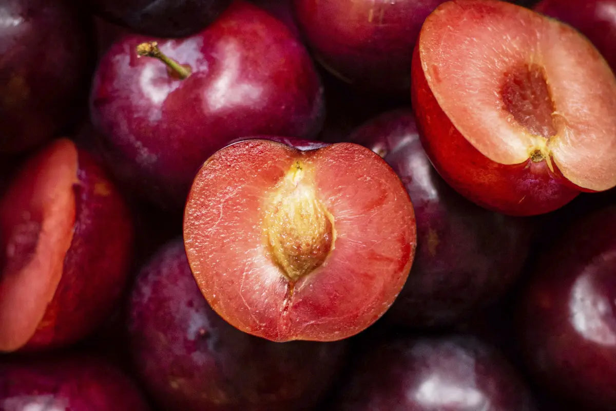 Dúo Prebiotic powder Nativ For Life