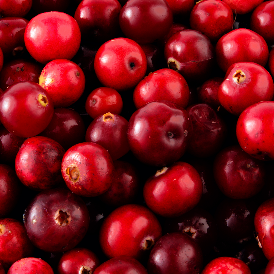cranberry, arándano rojo, nativ for life, patagonia, chile, super frutas, super alimentos, vegano, sin gluten, sano, rico