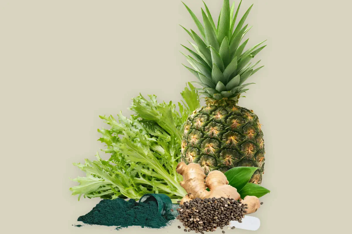 Dúo Prebiotic powder Nativ For Life