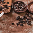 Cacao en Polvo Nativ For Life