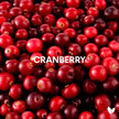 Cranberry Sachet polvo liofilizado (Copia) Nativ For Life