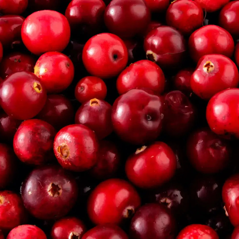 Dúo Cranberry Rosa - Nativ For Life