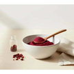 Cranberry en polvo Nativ For Life