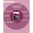 Zanahoria Morada Nativ For Life