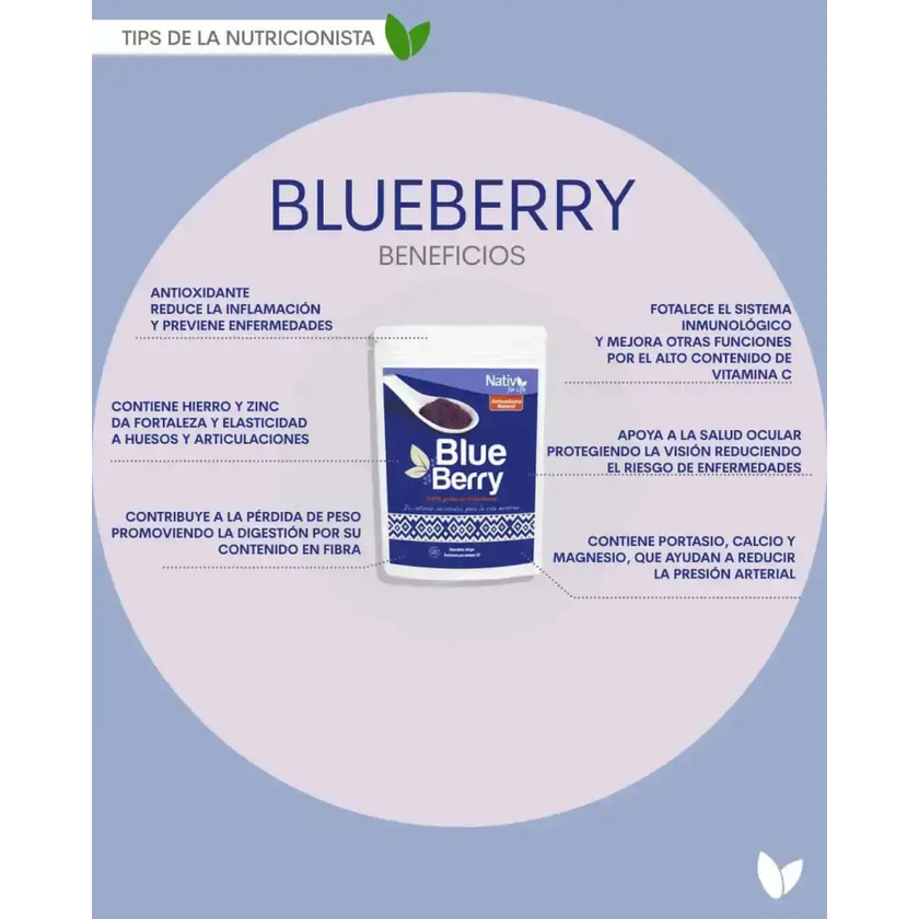 Blueberry polvo liofilizado Nativ For Life