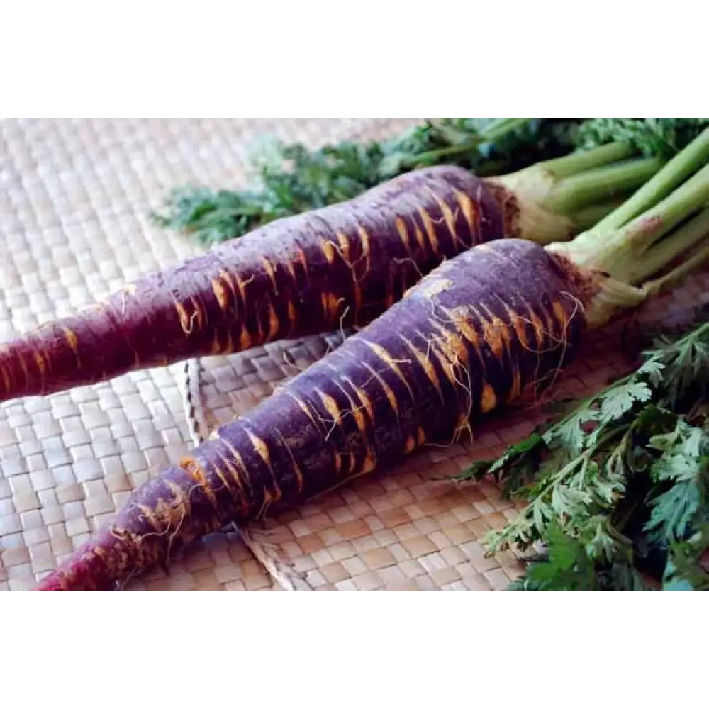 Dúo Zanahoria Blueberry Nativ For Life