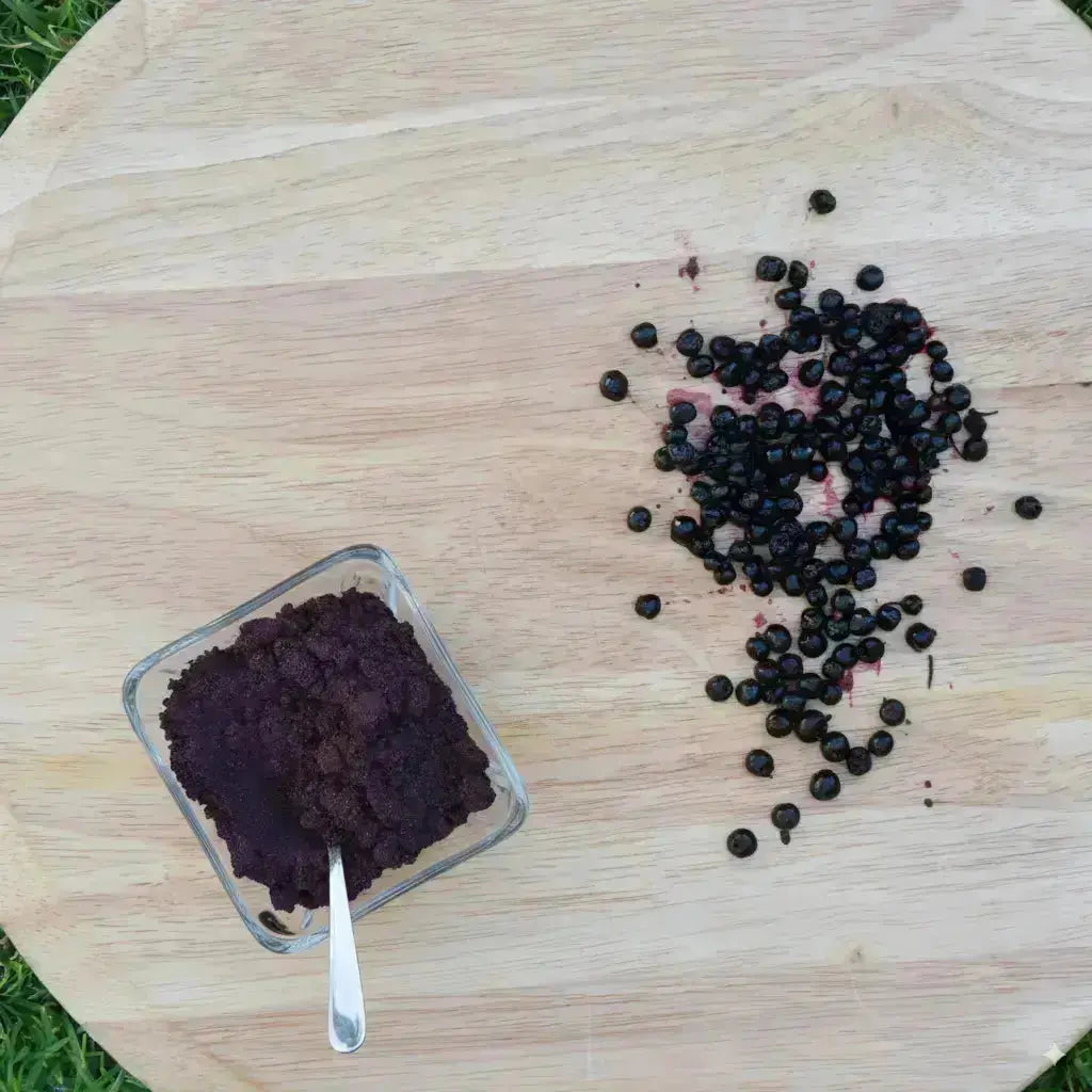 Maqui en polvo Nativ For Life