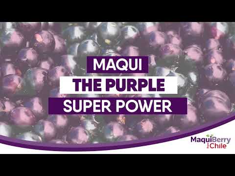 maqui, maqui berry, berry, nativ, nativ for life, patagonia, chile, super frutas, super alimentos, vegano, sin gluten, sano, rico